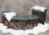 Custom Photo Gallery